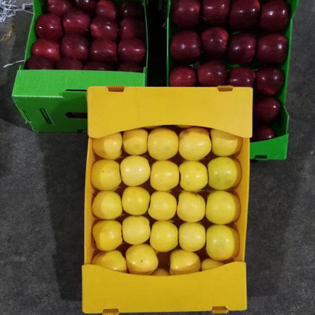بسته بندی سیب صادراتی - Apple Packs 1