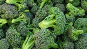 کلم بروکلی - Broccoli