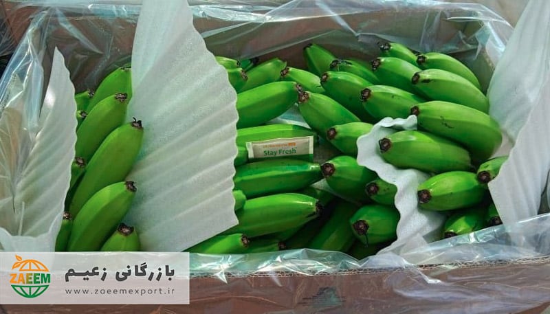 خرید جاذب اتیلن - Ethylene absorbent sachet banana