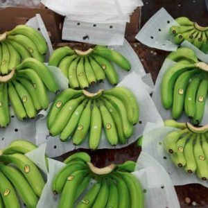 banana-import-zaeem3 - واردات موز