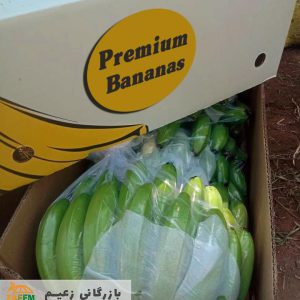 banana-import-zaeem1 - واردات موز